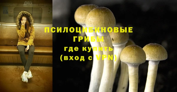 PSILOCYBIN Абдулино