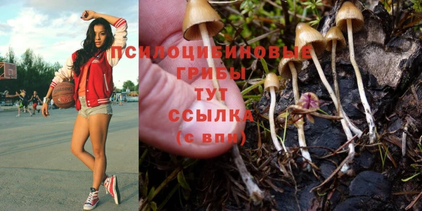 бутират Абинск